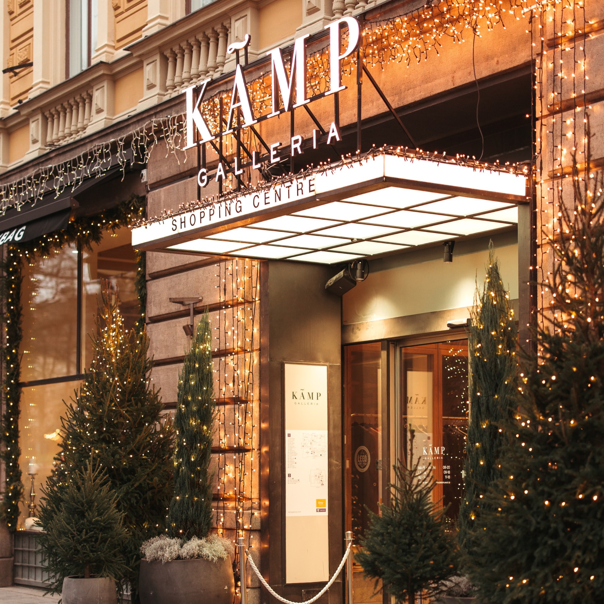 Mari's-Treehouse-12.2